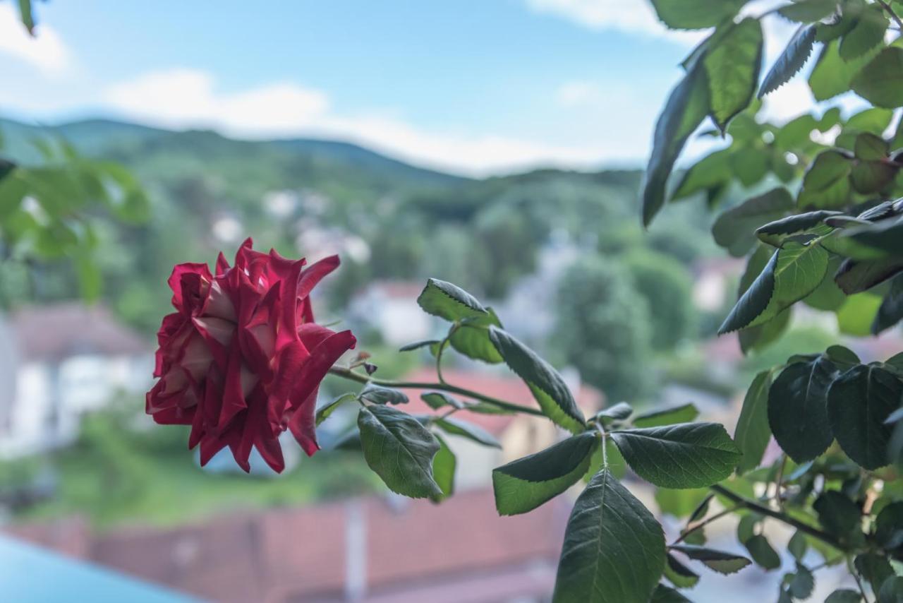 Onore Dell Amore Apartman Sa Djakuzijem Banja Koviljača Exterior foto