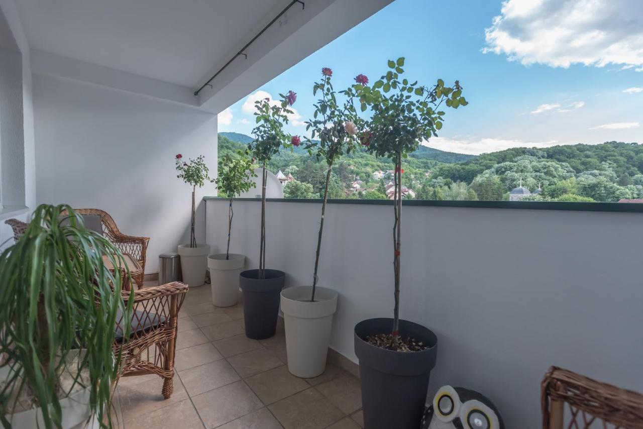Onore Dell Amore Apartman Sa Djakuzijem Banja Koviljača Exterior foto